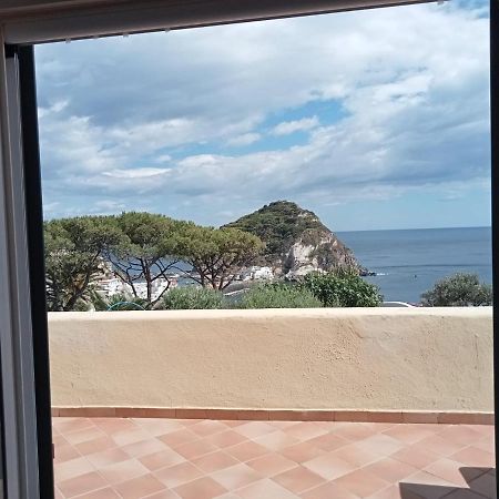 Bed and Breakfast Parco Termale Tropical Ischia Island Exterior foto