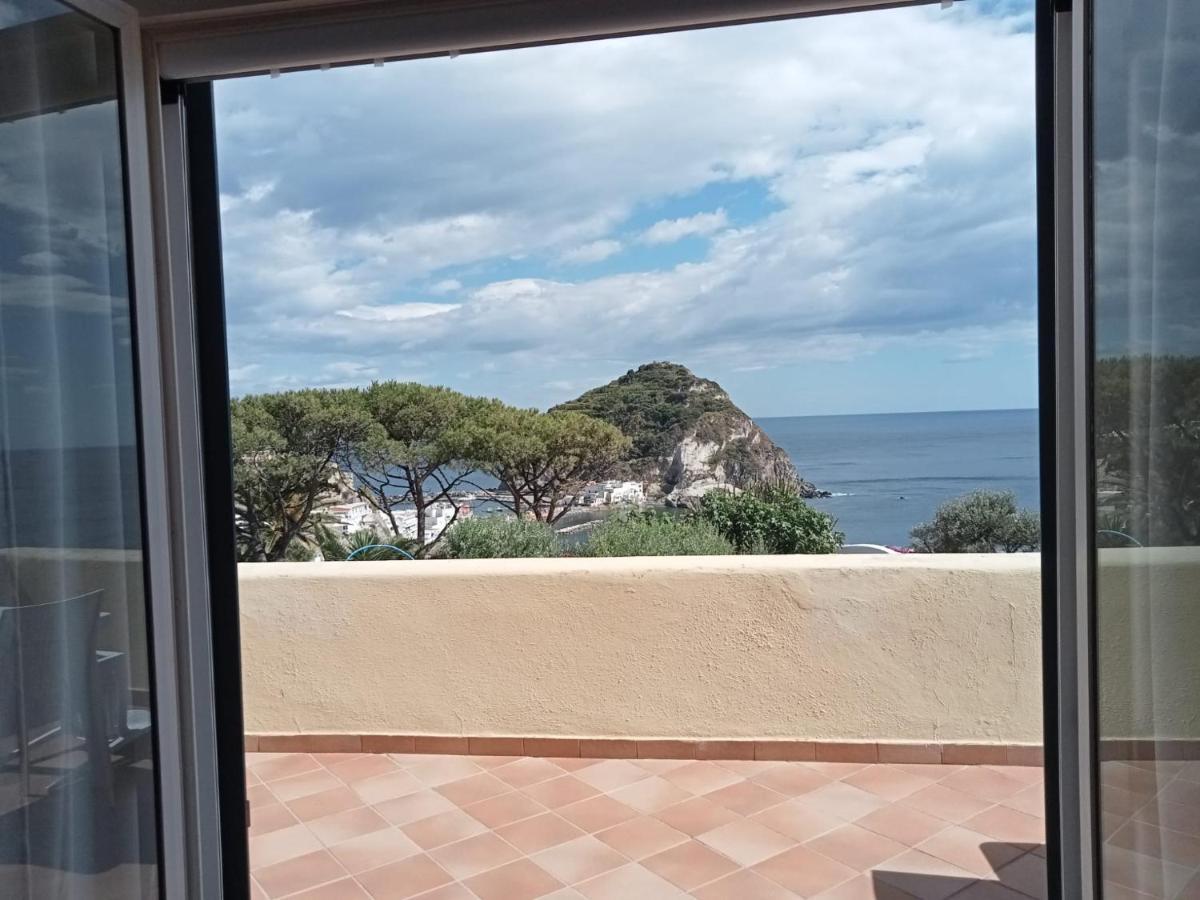 Bed and Breakfast Parco Termale Tropical Ischia Island Exterior foto